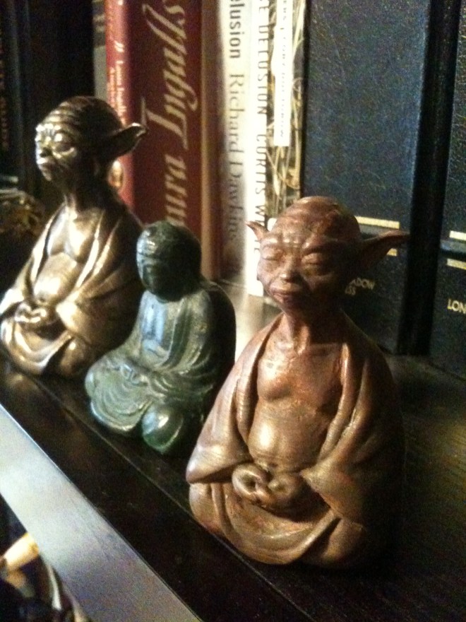 Photo Feb 20, 11 30 32 AM